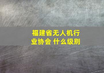 福建省无人机行业协会 什么级别